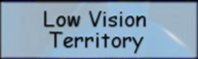 Low Vision Logo
